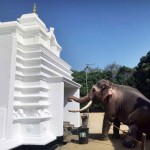 Kelaniya: Paying homage