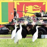 Colombo: Peaceful onlookers