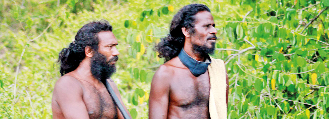 Private sector intrusion: Veddah chief petitions court to protect forests and Adhi Vasi rights