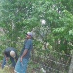 Fencing off cleared up areas