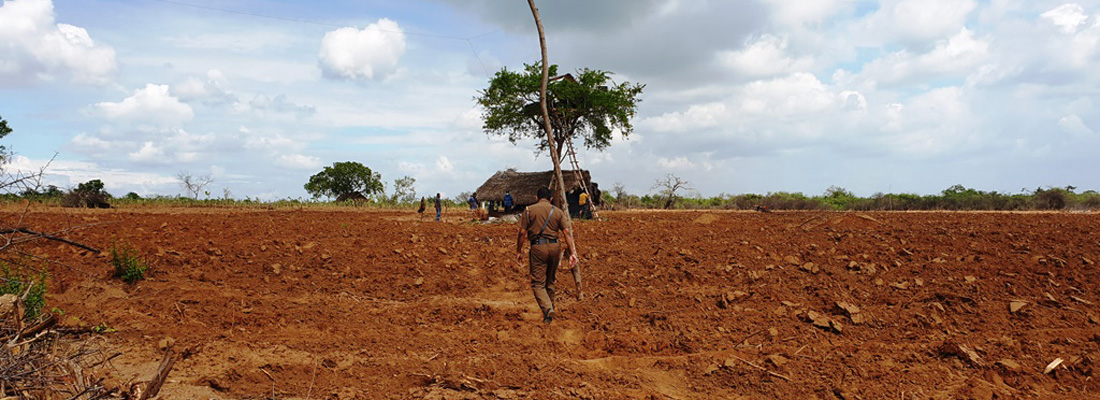 Ministers admit to state offences in forest clearances