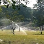 IMAG3881-Viharamahadevi-Park-Pic-Indika-handuwala