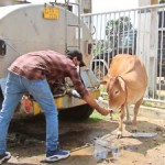 Norochcholai: Thirst quencher