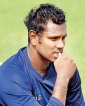 Mathews favourite to lead T20 side in Shanaka’s absence