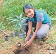 Lyceum International Kurunegala celebrates Independence Day with a Tree Planting Campaign