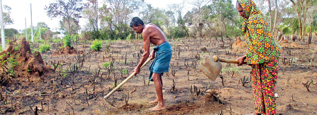 Why are farmers poor?