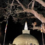 Anuradhapura: Beacon light  Reka Tharangane Fonseka