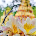 Kataragama: Offering blossoms