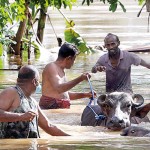 Kelaniya