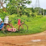 Galkulama: No takers - Pic by Hiran Priyankara Jayasighe