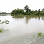 A vehicle passes through a flooded area at Kidelpitiya in Bandaragama  Pic by Indika Handuwala