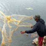 Anamaduwa: Uncertain catch- Pic by Hiran Priyankara Jayasinghe