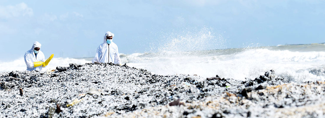 Tourism impact: Xpress Pearl pollutes shoreline