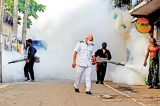 Dengue also rises: Double work for PHIs