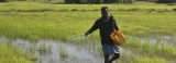 Farmers left high and dry with no fertiliser, organic or chemical