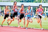 No Schools Sports Festival  for second year running