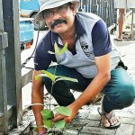 Many are keen to see the  verdant walkway completed