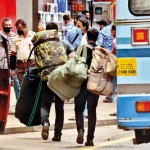 Pettah: Pack horses: Pix by Eshan Fernando