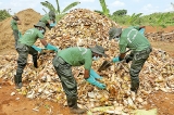 Army digs in for organic in Jaffna as Maha approaches