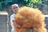 Sri Lankan coconuts help Yorkshire Dales combat peatland crisis