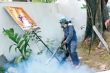 Dengue cases up by a third; similar symptoms to COVID