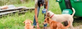 Beginning and ending her day caring for strays