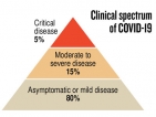 A reminder to the public: Essentials of COVID-19