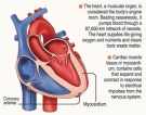 COVID-19 can affect your heart; take care of it