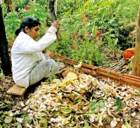 Preparing for the Maha season