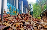 Teachers’ strike: Schools fail cleanliness test