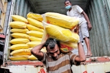 Rice price free-for-all as controls are lifted