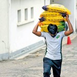 Kollupitiya: Precious load - Pix by Akila Jayawardana