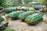 Distribution of imported fertilizer begins