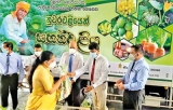 District tie-up plan to provide public servants veggies at affordable prices