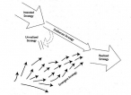 Ambidexterity of both Emergent and Deliberate Strategy for Organisational Development