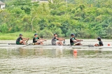 AIS roars at Rowing Junior Nationals