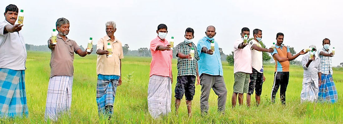 Kilinochchi farmers protest, throw away organic fertilisers