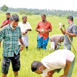 Farmers say organic fertiliser they were given was no good (Pix by N Lohathayalan)
