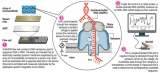 Nanopore sequencing – rapid insights in real time