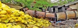 Kurunegala collapse reveals continuing clinical waste horror