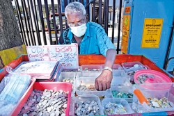 Old coins and stamps