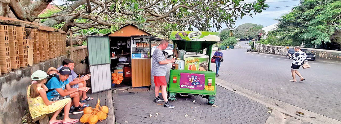 Sri Lankans boost tourist arrivals for sector with little visibility