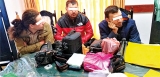 Russian bio-pirates nabbed with rare animals haul fined Rs 8.5m