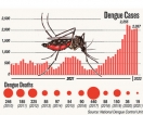 Rapidly rising dengue patient tally prompts epidemic warning