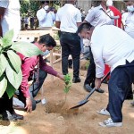 Badulla: Going green for Independence. Pic by W. Rathnayake