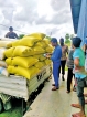 Paddy purchasing begins in Ampara; Govt. expects to buy 300,000 MT