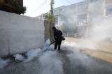Weekly dengue infections drop, but risks high in some areas