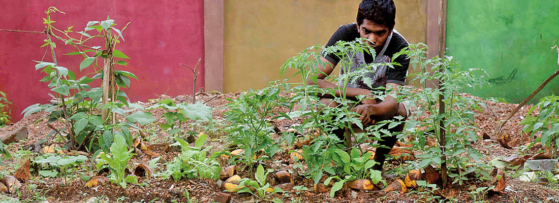 Flat dwellers being inspired to stir the pot for communal meals