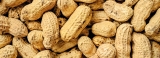 Sri Lanka achieves self-sufficiency in peanuts in 2021