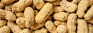 Sri Lanka achieves self-sufficiency in peanuts in 2021